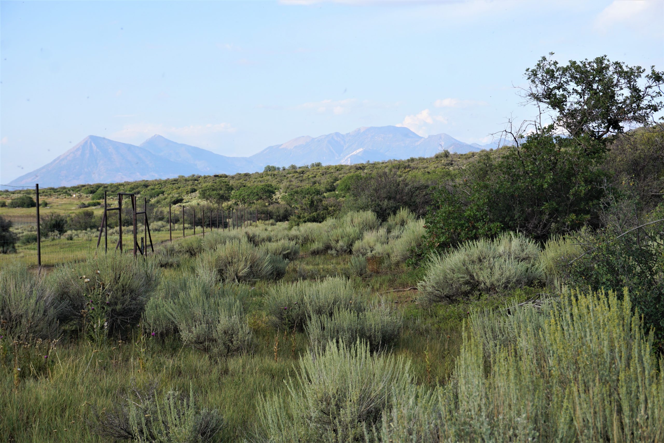 TBD (Tract 36) Poison Springs Road